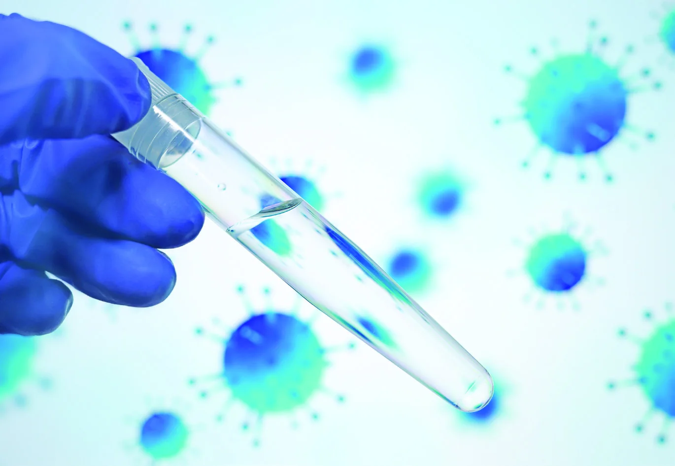 Bacterias y virus